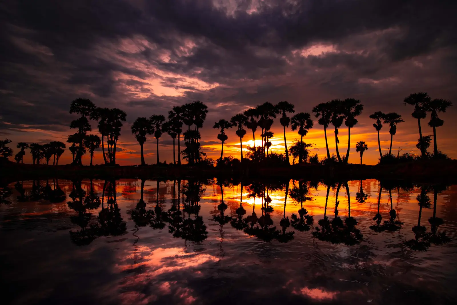Nature